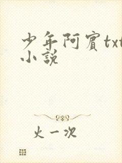 少年阿宾txt小说