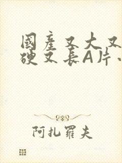 国产又大又粗又硬又长A片小说