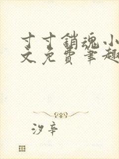 寸寸销魂小说全文免费笔趣阁
