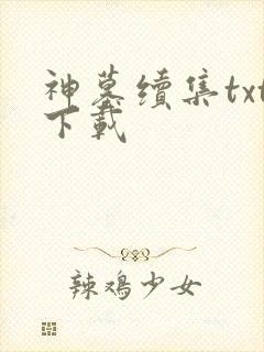 神墓续集txt下载