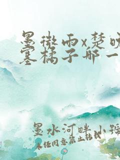 墨微雨x楚晚宁塞橘子哪一章