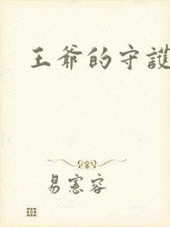 王爷的守护男妃