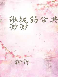 班级的公共玩具渺渺