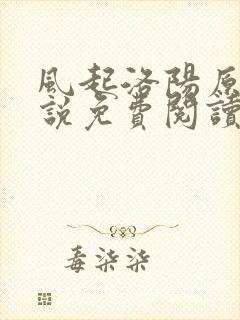 风起洛阳原著小说免费阅读