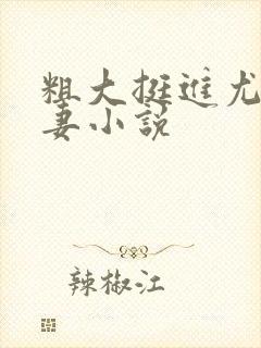 粗大挺进尤物娇妻小说