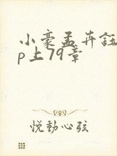 小豪孟卉钰慧三p上79章