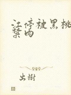 江停被黑桃K囚禁肉