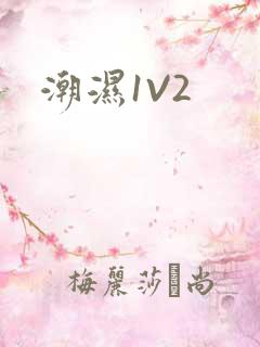 潮湿1V2