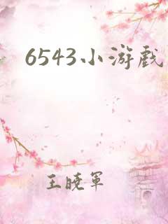6543小游戏