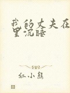 我的丈夫在冰箱里沉睡