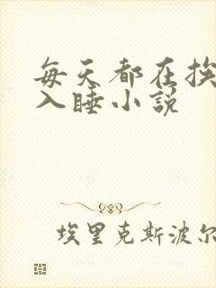 每天都在挨龠中入睡小说
