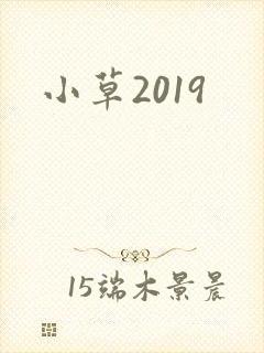小草2019