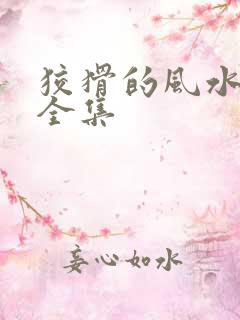 狡猾的风水相师全集