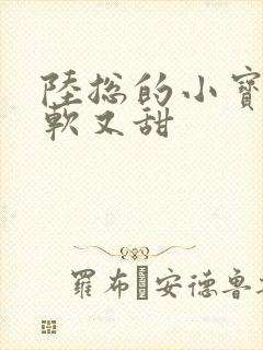 陆总的小宝贝又软又甜