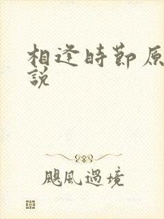 相逢时节原著小说