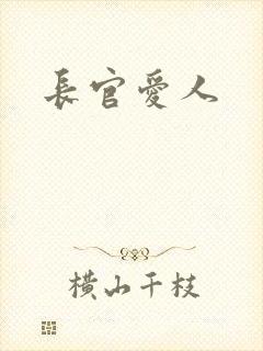 长官爱人