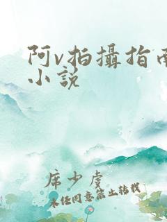 阿v拍摄指南说小说