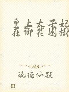 皇上太子妃沈音在御花园树上