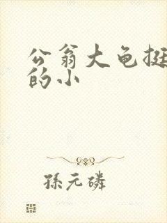 公翁大龟挺进我的小