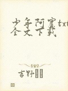 少年阿宾txt全文下载