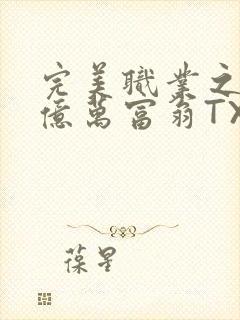 完美职业之我是亿万富翁TXT