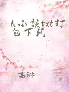 h小说txt打包下载