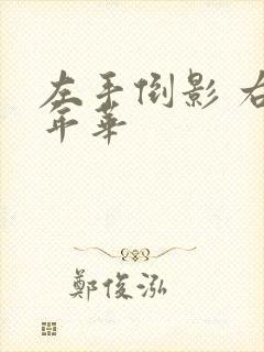 左手倒影 右手年华