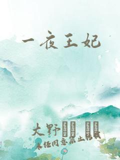 一夜王妃