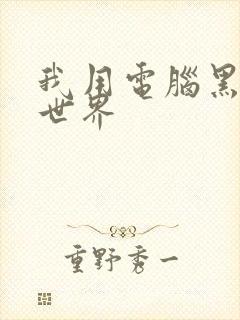 我用电脑黑了全世界