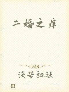 二婚之痒