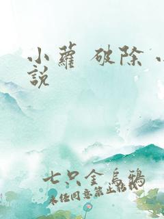 小萝 破除 小说