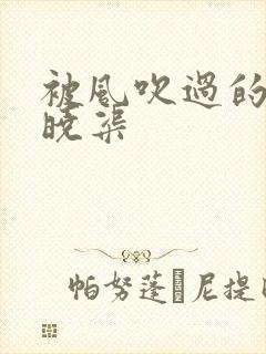 被风吹过的夏天晓渠