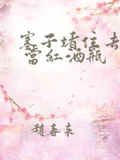 塞子堵住去上学 当红酒瓶