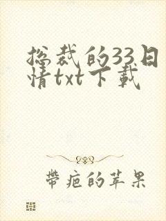 总裁的33日索情txt下载