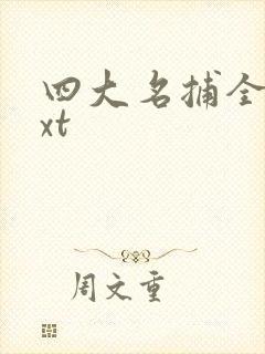 四大名捕全集txt