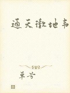 通天彻地韦小宝