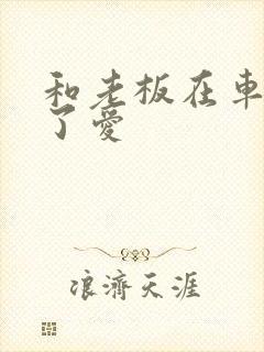 和老板在车里做了爱