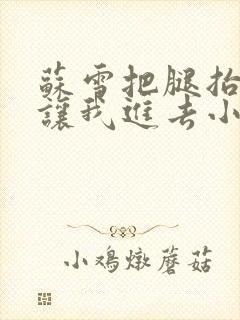 苏雪把腿抬起来让我进去小说