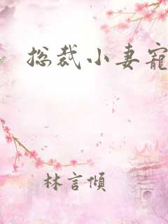 总裁小妻宠上天