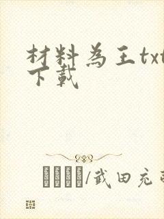 材料为王txt下载
