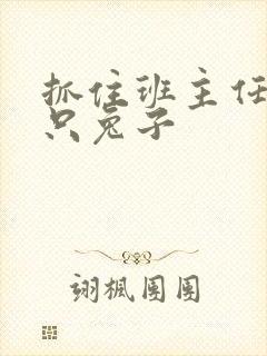 抓住班主任的两只兔子