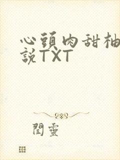 心头肉甜柚子小说TXT