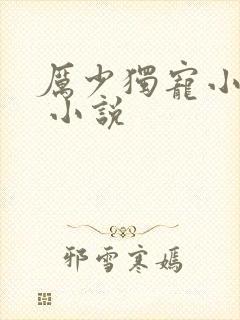 厉少独宠小娇妻 小说