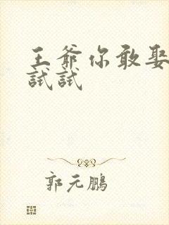 王爷你敢娶小三试试