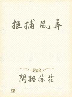拒捕 风弄