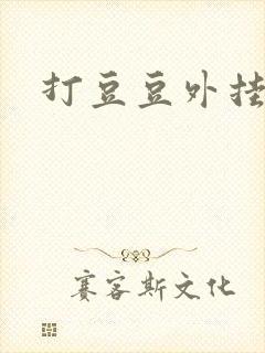 打豆豆外挂