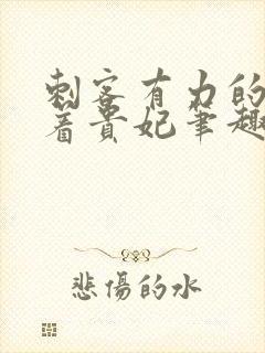 刺客有力的撞击着贵妃笔趣阁