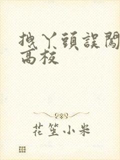 拽丫头误闯男子高校