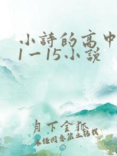 小诗的高中日记1一15小说