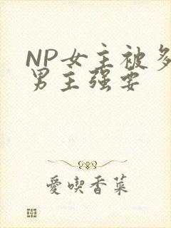 NP女主被多个男主强要
